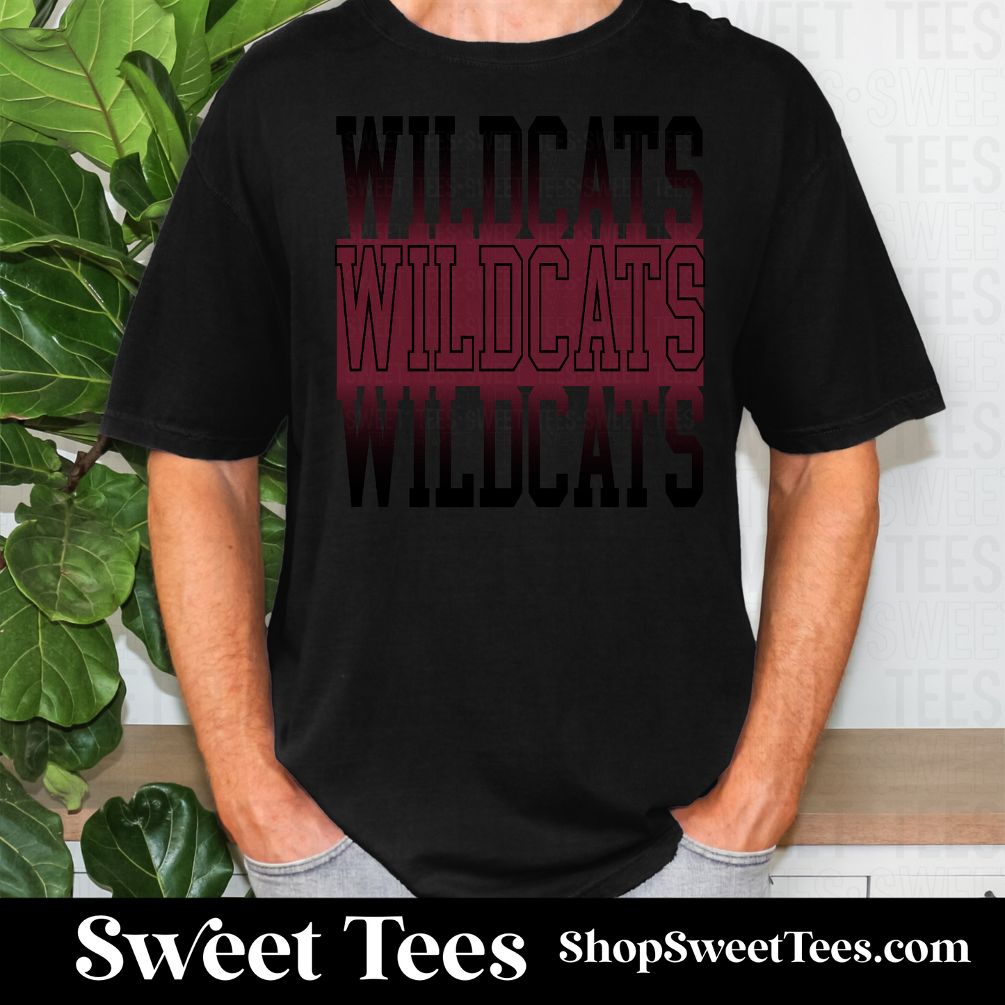 Onalaska Ombre Outline 072 tee