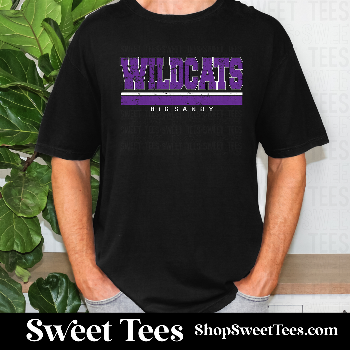 Big Sandy Wildcats Grunge Lined 083