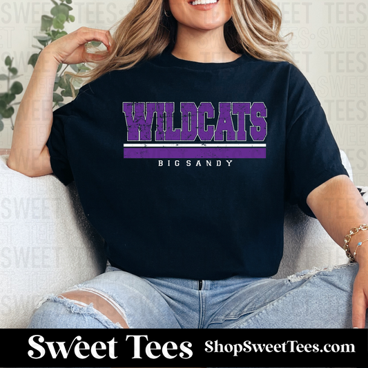 Big Sandy Wildcats Grunge Lined 083