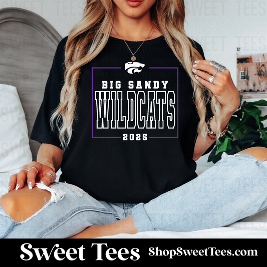 Big Sandy Squared Varsity Spirit 091 tee
