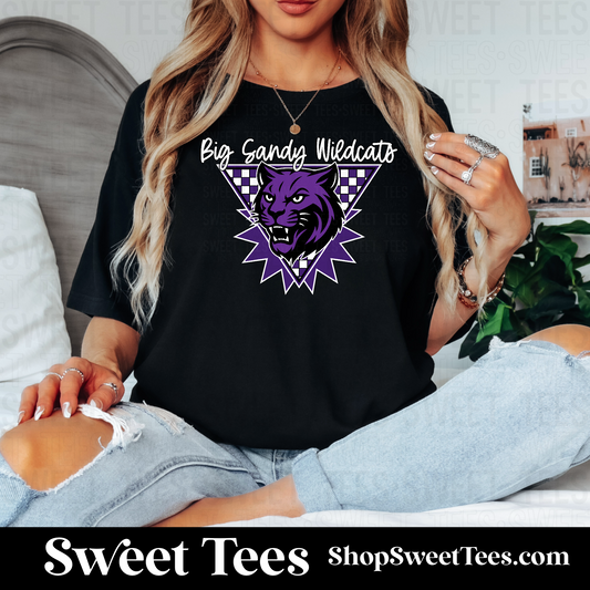 Big Sandy Retro Mascot 118 tee