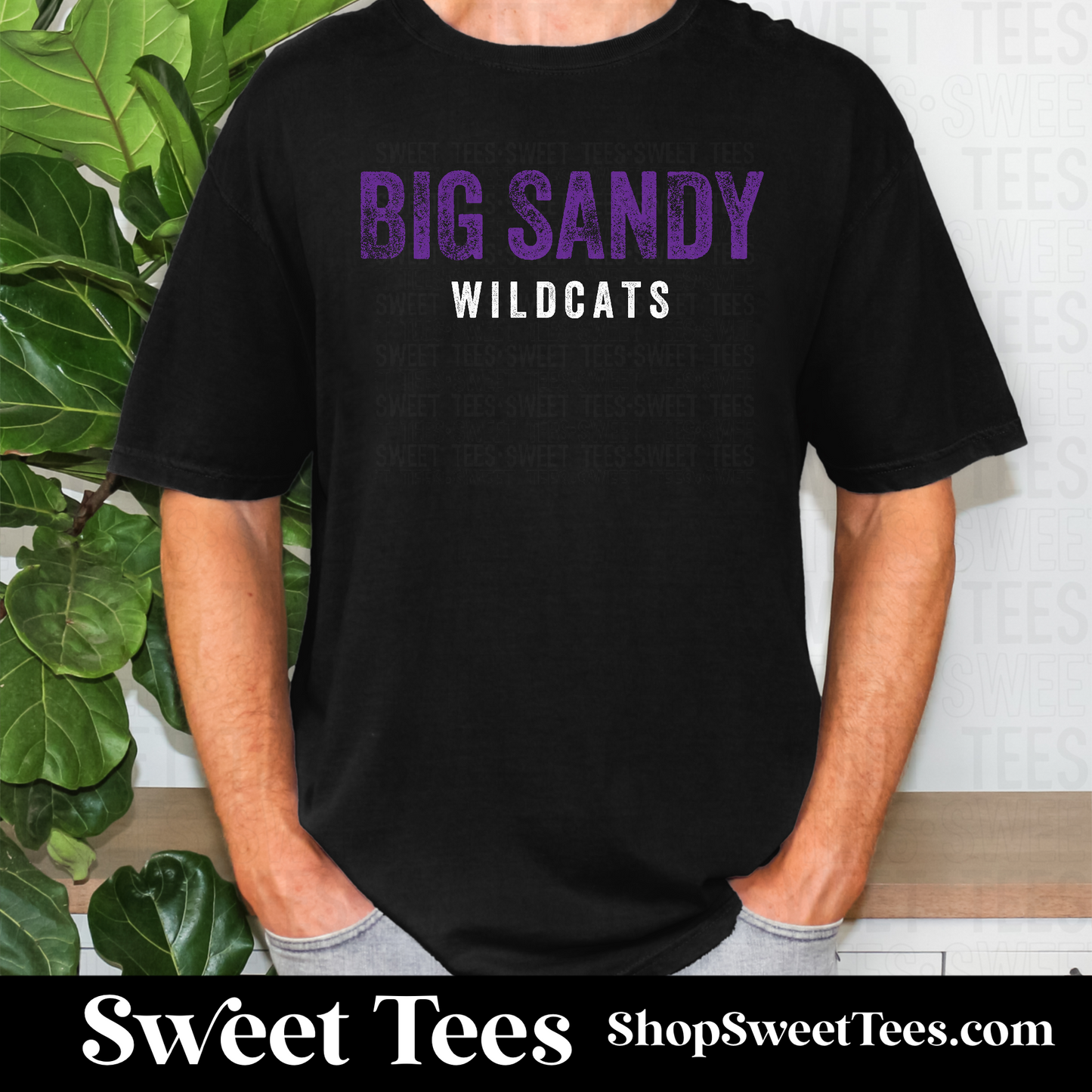 Big Sandy Wildcats Vintage Rough 142 tee
