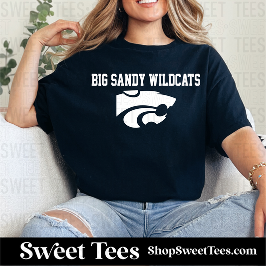 Big Sandy Clean Spirit 151 tee