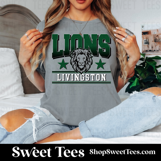 Lions Gradient College Star 126 tee