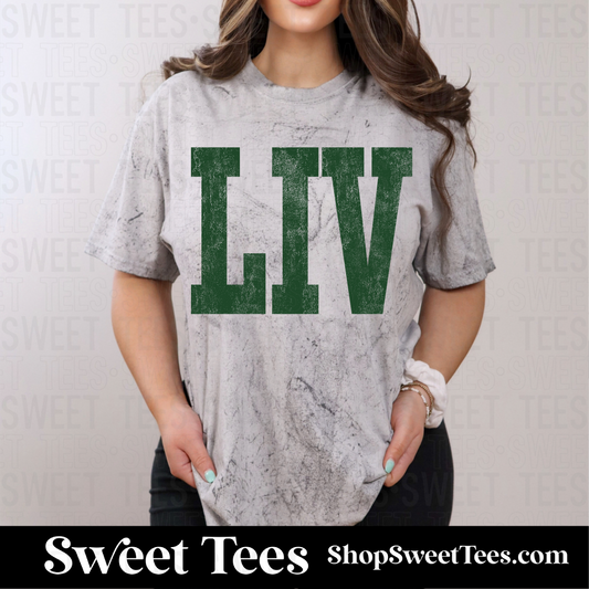 LIV Washed 377 tee - Comfort Colors