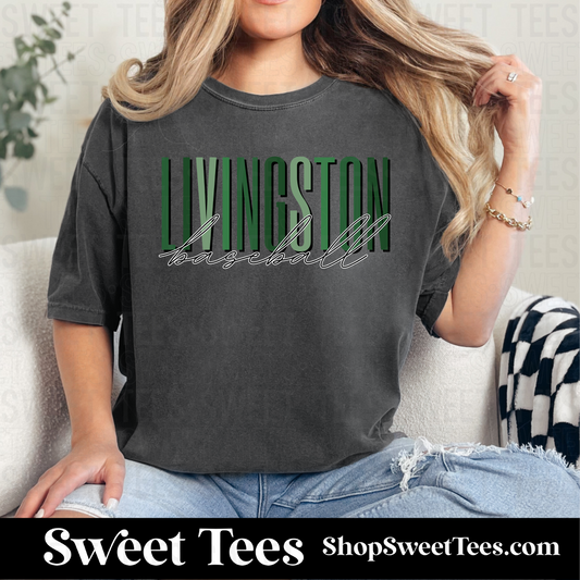 Livingston Baseball Ombre Script 135 tee