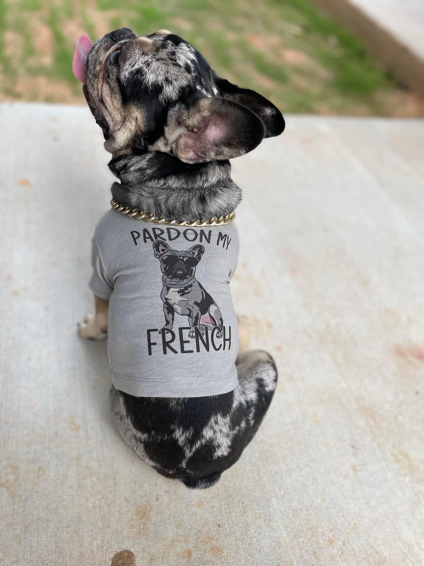 Pardon My French tee
