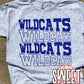 Big Sandy Wildcats In and Out - gray tee
